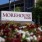 Morehouse
